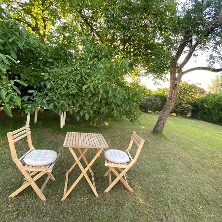 Au Paradis D'Alsace 55 M2 Nature & Relax Ingwiller Eksteriør billede
