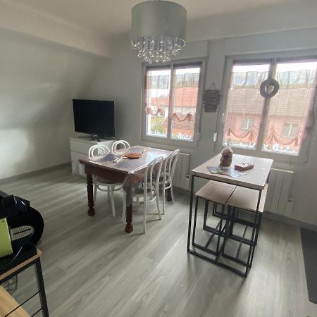 Au Paradis D'Alsace 55 M2 Nature & Relax Ingwiller Eksteriør billede