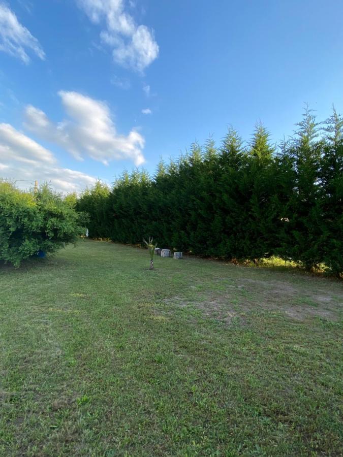 Au Paradis D'Alsace 55 M2 Nature & Relax Ingwiller Eksteriør billede