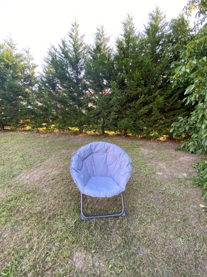 Au Paradis D'Alsace 55 M2 Nature & Relax Ingwiller Eksteriør billede