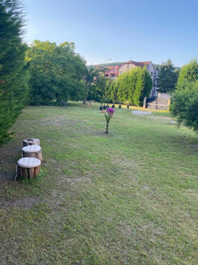 Au Paradis D'Alsace 55 M2 Nature & Relax Ingwiller Eksteriør billede