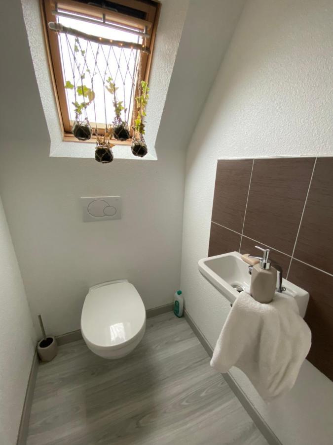 Au Paradis D'Alsace 55 M2 Nature & Relax Ingwiller Eksteriør billede