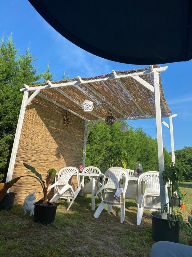 Au Paradis D'Alsace 55 M2 Nature & Relax Ingwiller Eksteriør billede