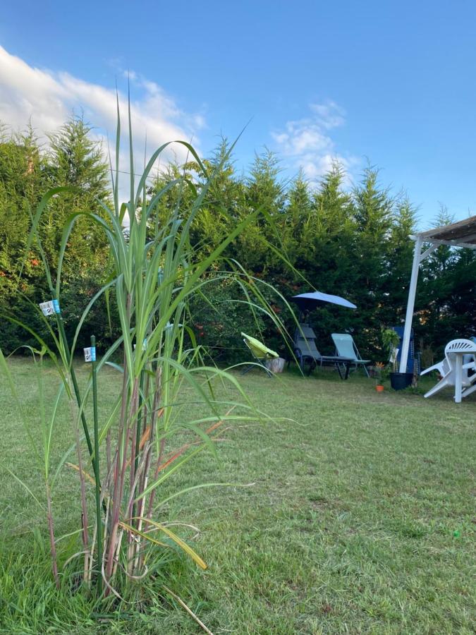 Au Paradis D'Alsace 55 M2 Nature & Relax Ingwiller Eksteriør billede