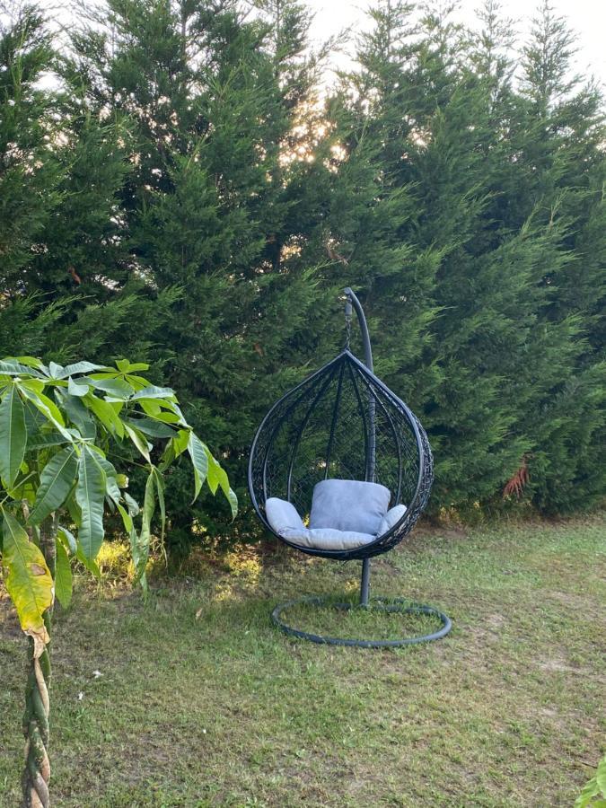 Au Paradis D'Alsace 55 M2 Nature & Relax Ingwiller Eksteriør billede